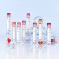 CLIO Crystal Glam Tint - 5 Colors - H ART