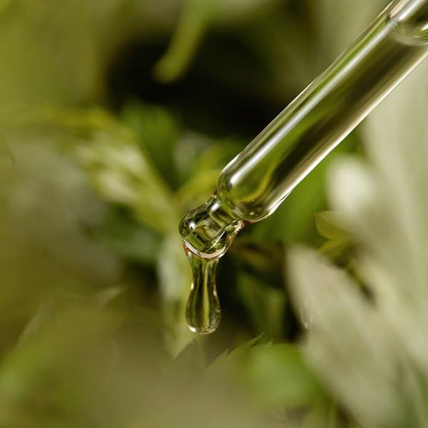 I'm from Mugwort Serum 30ml - H ART