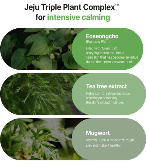 FATION Real Fit Heartleaf Calming Mask