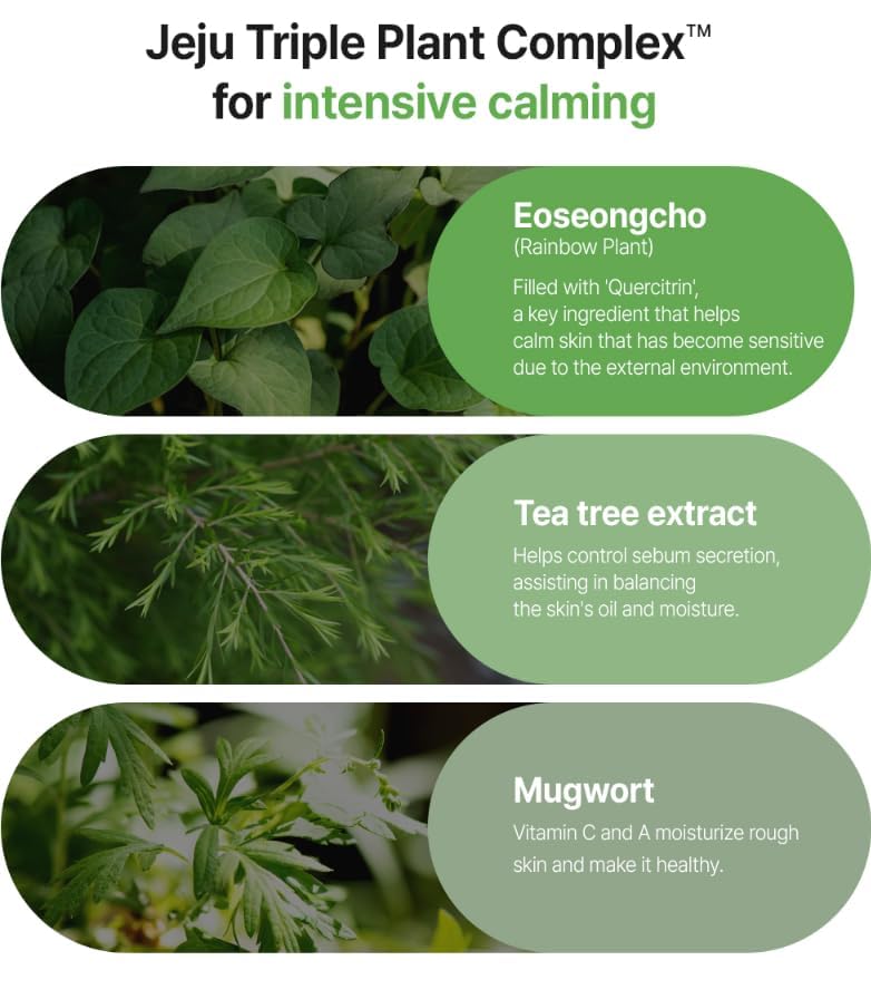 FATION Real Fit Heartleaf Calming Mask 1 EA