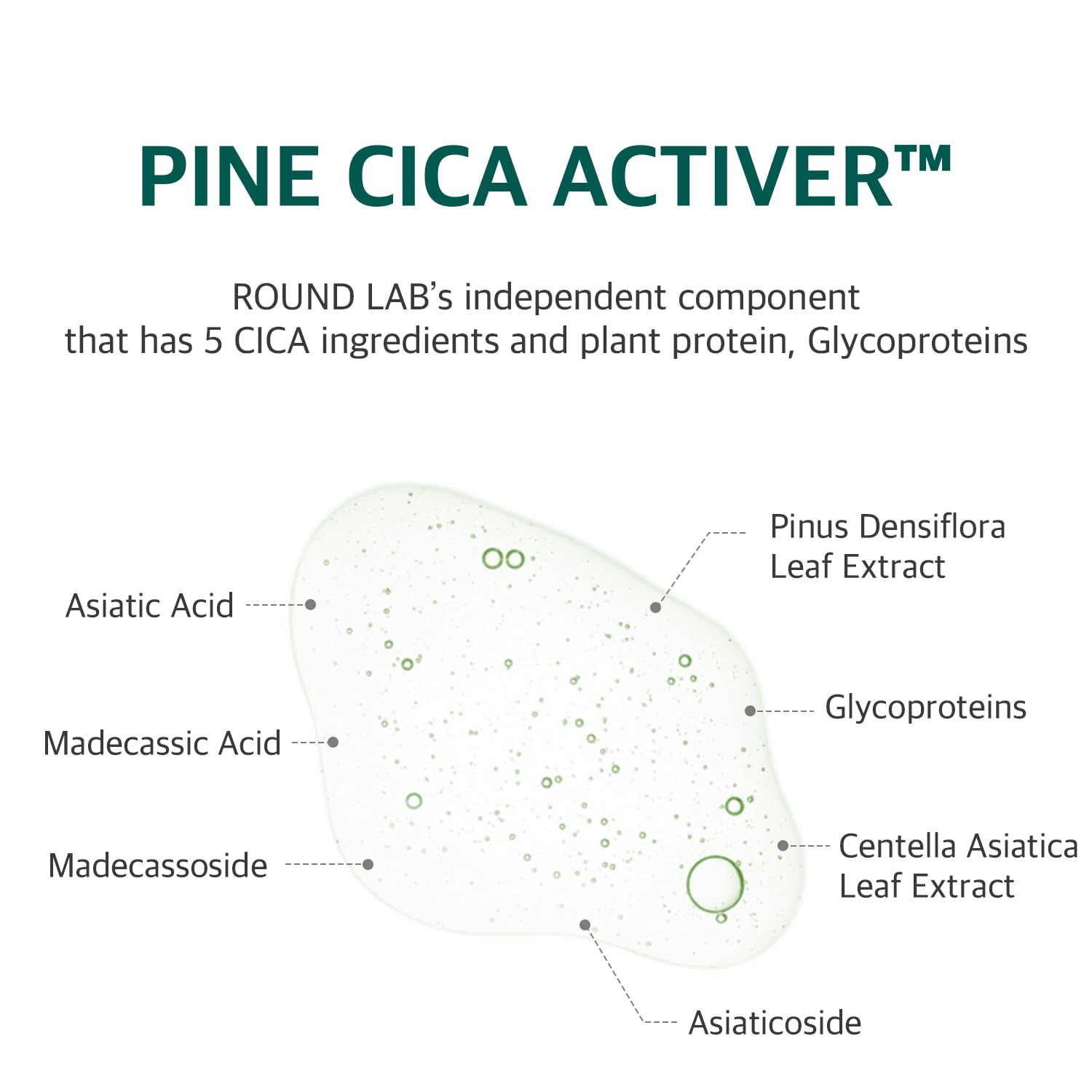ROUND LAB Pine Calming Cica Ampoule 30ml - H ART