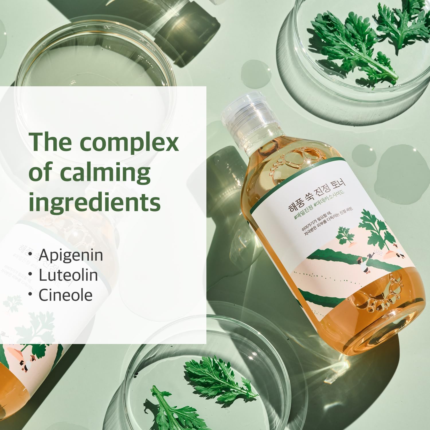 ROUND LAB Mugwort Calming Toner 300ml