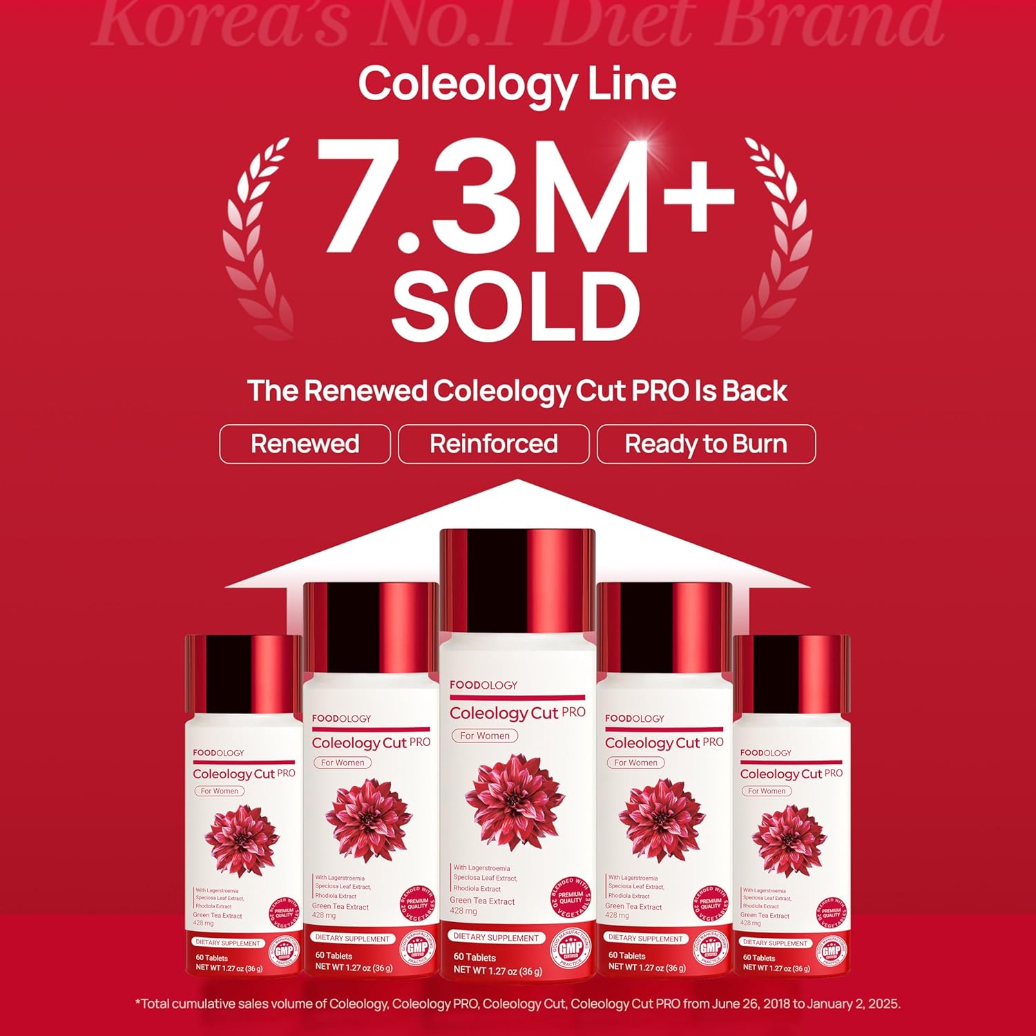 FOODOLOGY Coleology Tea Pro Hobby Escape