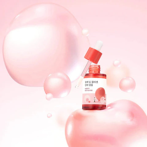 ROUND LAB Camellia Deep Collagen Firming Ampoule 30ml