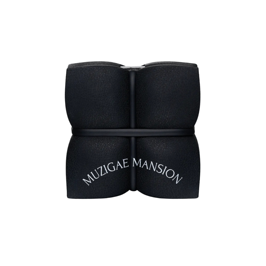 MUZIGAE MANSION Sleek Matt Cushion - 4 Colors - H ART
