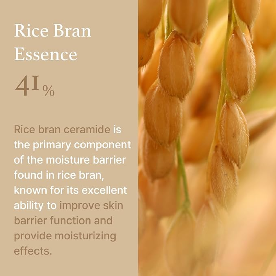 I'm from Rice Cream 50g - H ART