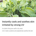 ISNTREE Hyaluronic Acid Airy Sun Stick - H ART