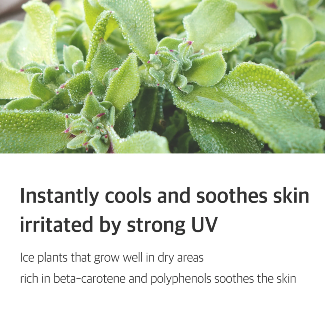 ISNTREE Hyaluronic Acid Airy Sun Stick - H ART