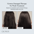 GROWUS Damage Therapy No-Wash Treatment Ex 250ml - H ART