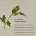 Beauty of Joseon Matte Sun Stick : Mugwort+Camilia - H ART