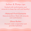 TONYMOLY Mini Peach Lip Balm - H ART