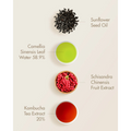 Dr. Ceuracle Vegan Kombucha Tea Essence 150ml - H ART