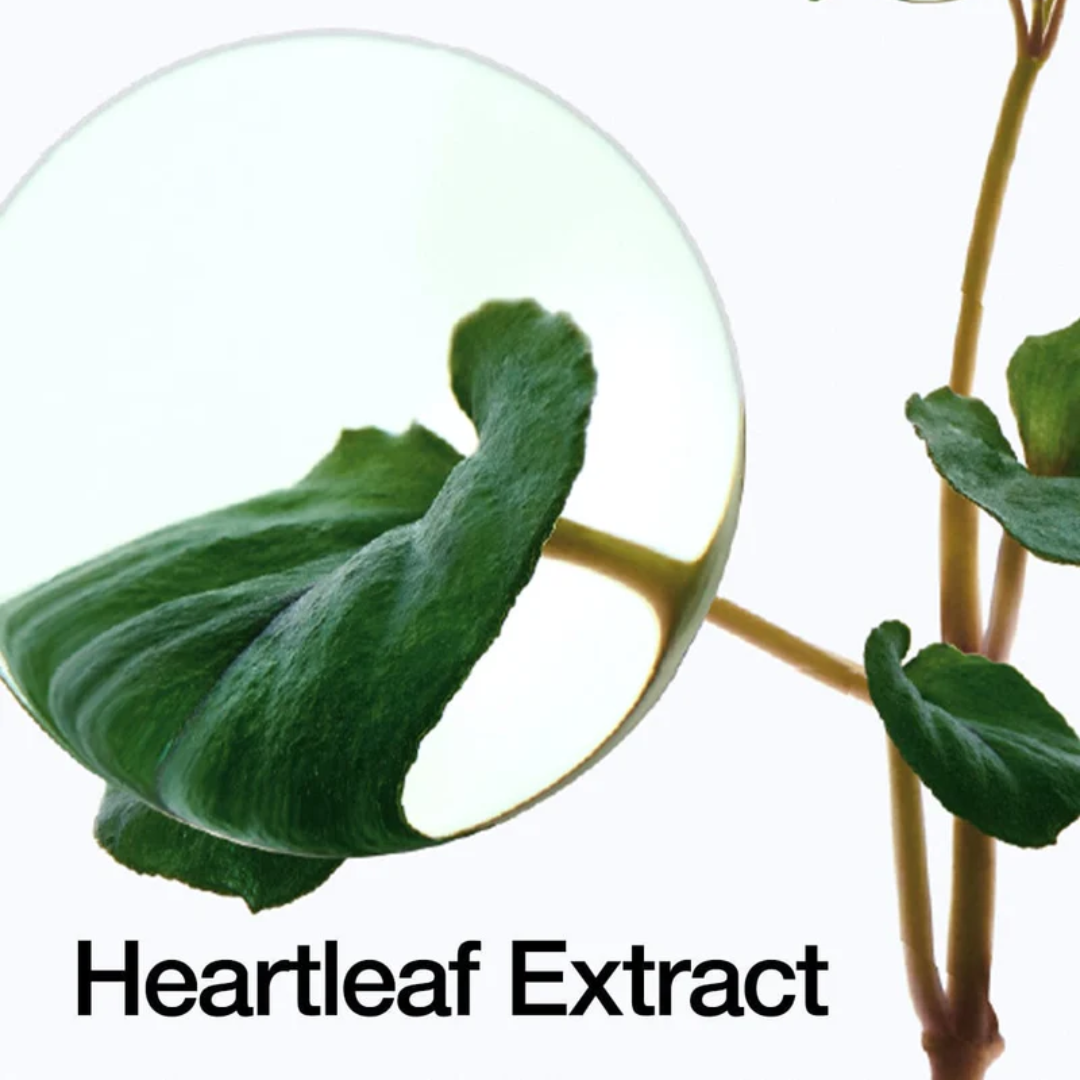 ANUA Heartleaf 70% Intense Calming Cream 50mL - H ART