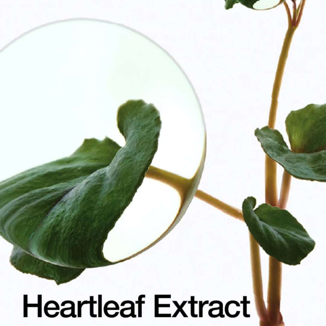 ANUA Heartleaf 70 Daily Lotion 200mL - H ART