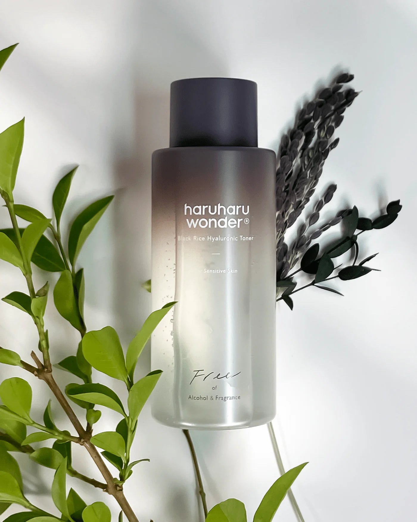 HARUHARU WONDER Black Rice Toner 150mL