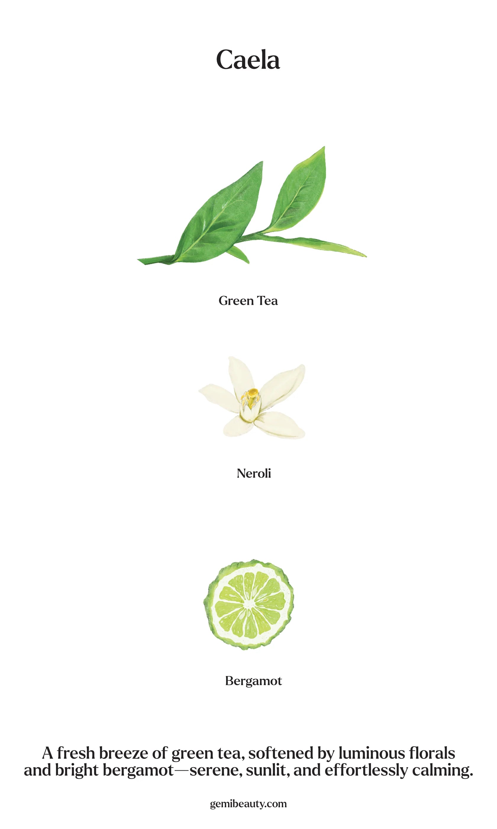 gemi Hand sanitizer + Serum - 5 Types