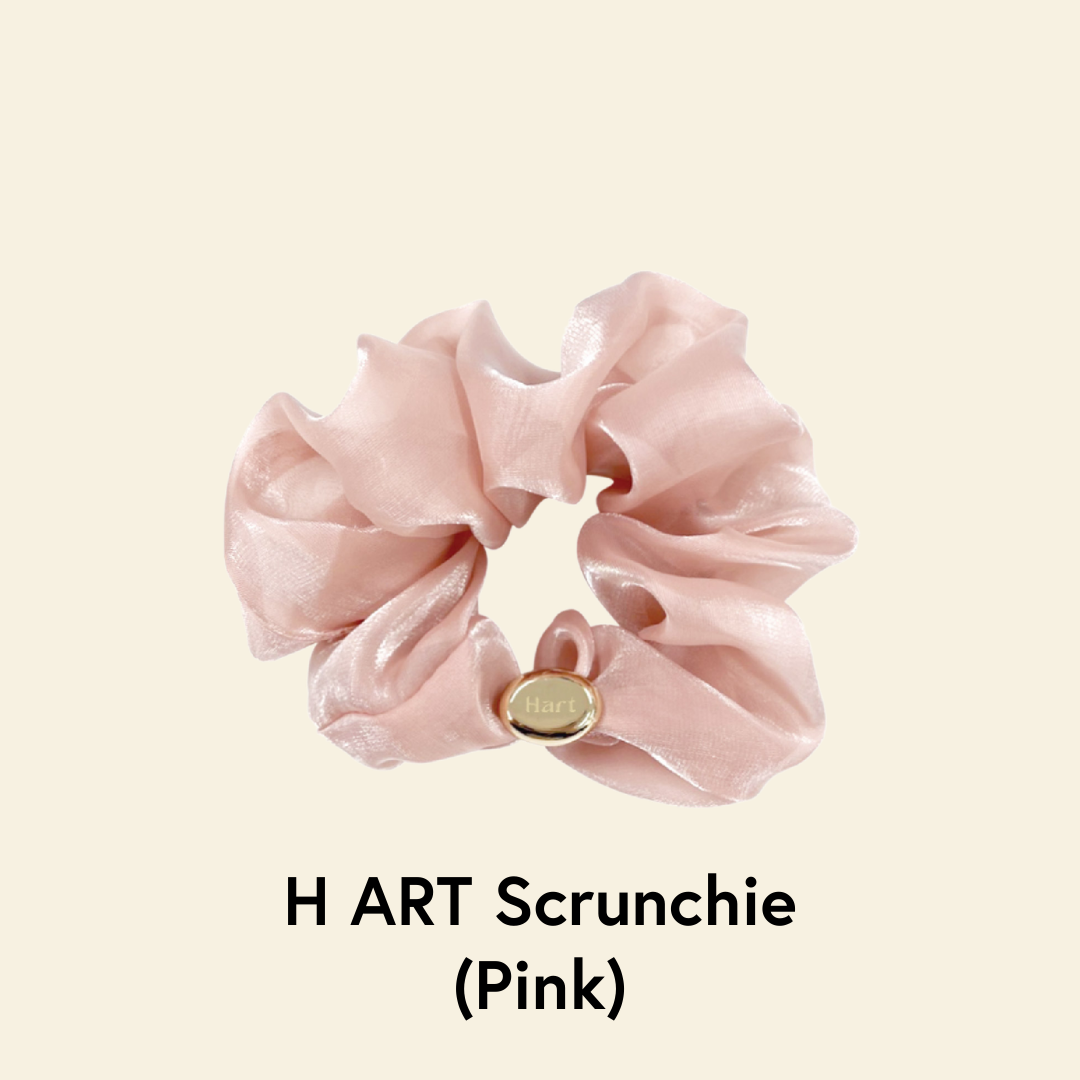 🎁 H ART Scrunchies (100% off)